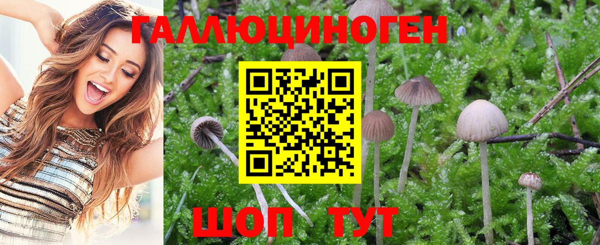 Псилоцибиновые грибы мухоморы Кинель